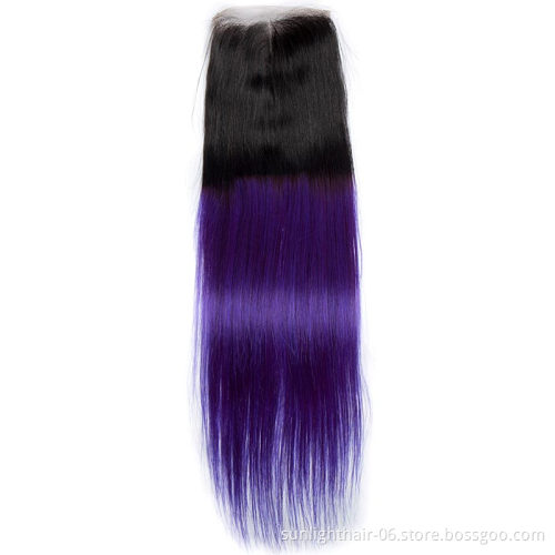HN Ombre Purple Brazilian Straight Hair Weaving Bundles 1B 2T 3T Purple Virgin Purple Human Hair bundles